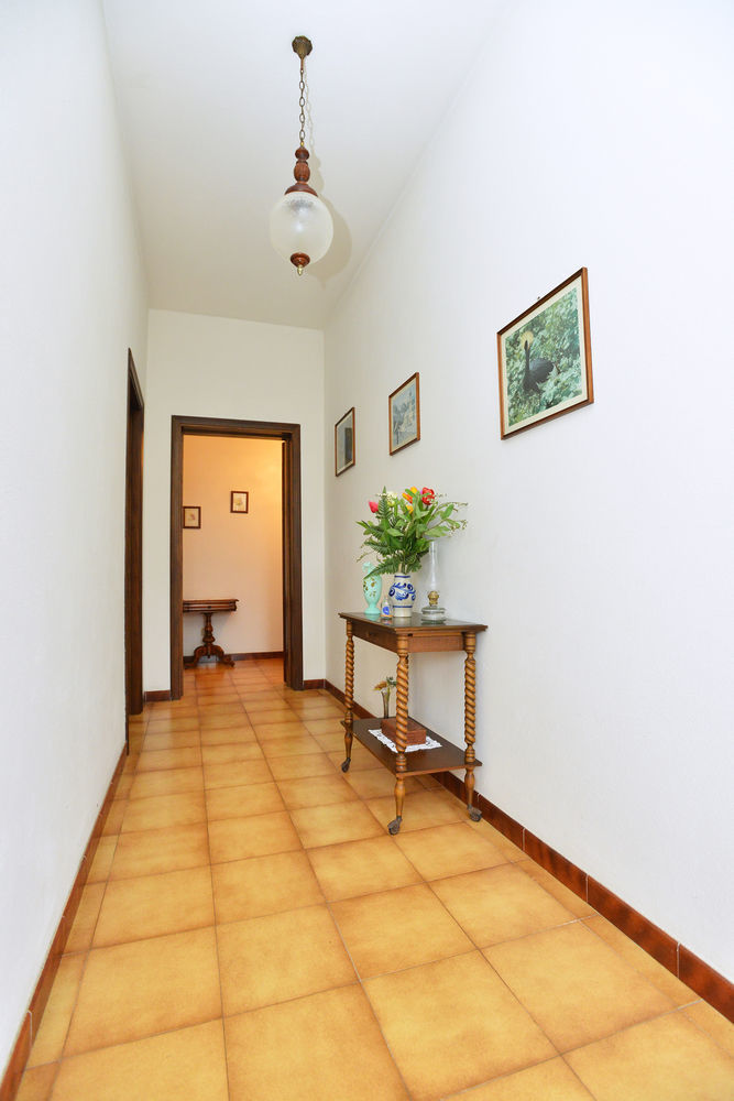 Izzhome Cozy Sunflowers Pula Exterior foto